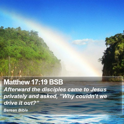 Matthew 17:19 BSB Bible Verse Image