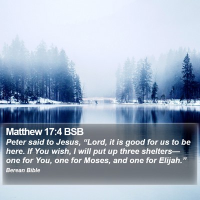 Matthew 17:4 BSB Bible Verse Image