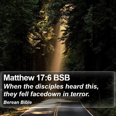 Matthew 17:6 BSB Bible Verse Image