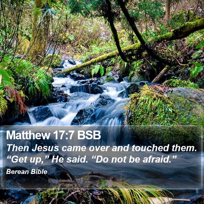 Matthew 17:7 BSB Bible Verse Image