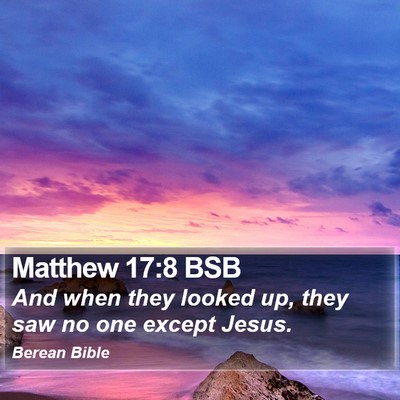 Matthew 17:8 BSB Bible Verse Image