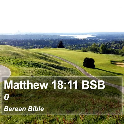 Matthew 18:11 BSB Bible Verse Image