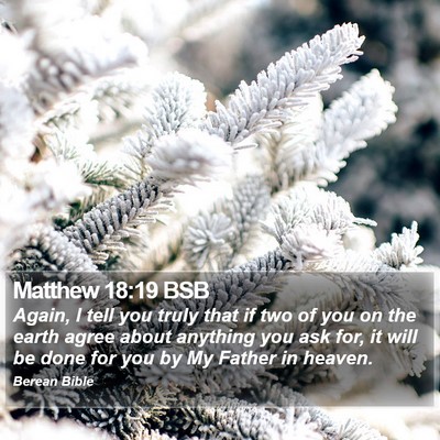 Matthew 18:19 BSB Bible Verse Image