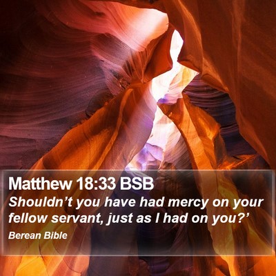 Matthew 18:33 BSB Bible Verse Image