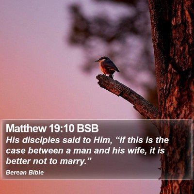 Matthew 19:10 BSB Bible Verse Image