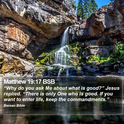 Matthew 19:17 BSB Bible Verse Image