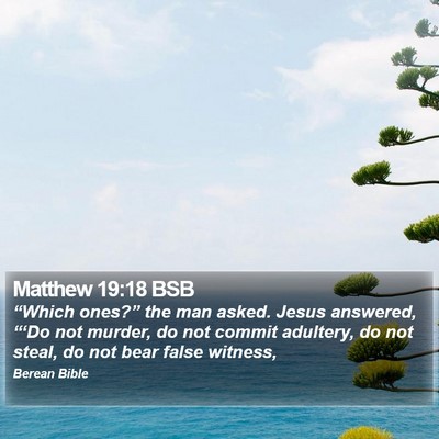 Matthew 19:18 BSB Bible Verse Image