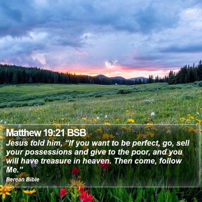 Matthew 19:21 BSB Bible Verse Image