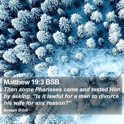Matthew 19:3 BSB Bible Verse Image