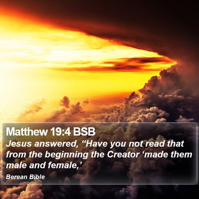 Matthew 19:4 BSB Bible Verse Image