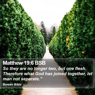 Matthew 19:6 BSB Bible Verse Image