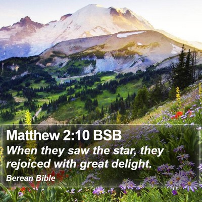 Matthew 2:10 BSB Bible Verse Image