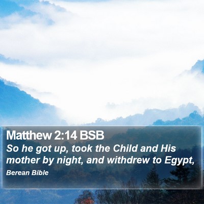 Matthew 2:14 BSB Bible Verse Image