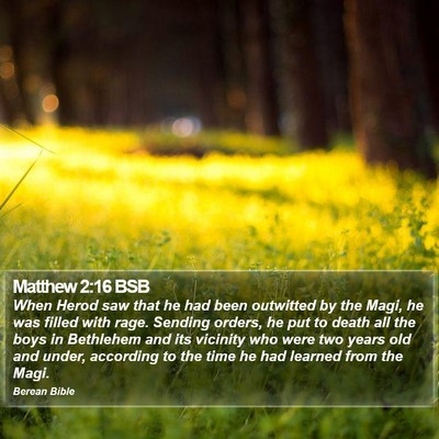Matthew 2:16 BSB Bible Verse Image