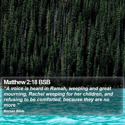 Matthew 2:18 BSB Bible Verse Image
