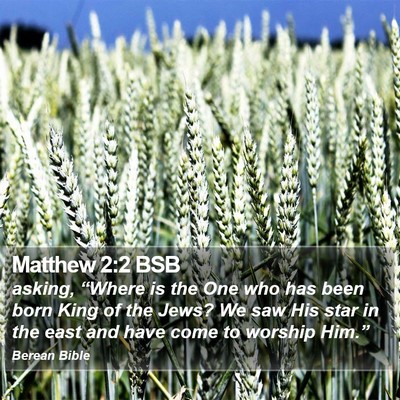 Matthew 2:2 BSB Bible Verse Image