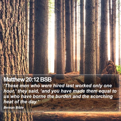 Matthew 20:12 BSB Bible Verse Image