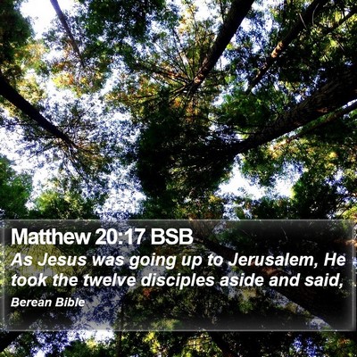 Matthew 20:17 BSB Bible Verse Image