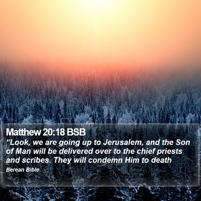 Matthew 20:18 BSB Bible Verse Image