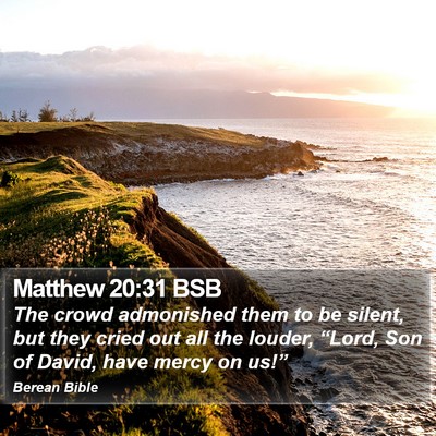 Matthew 20:31 BSB Bible Verse Image