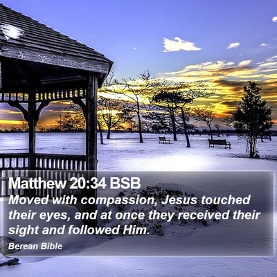 Matthew 20:34 BSB Bible Verse Image