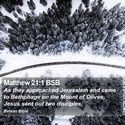Matthew 21:1 BSB Bible Verse Image