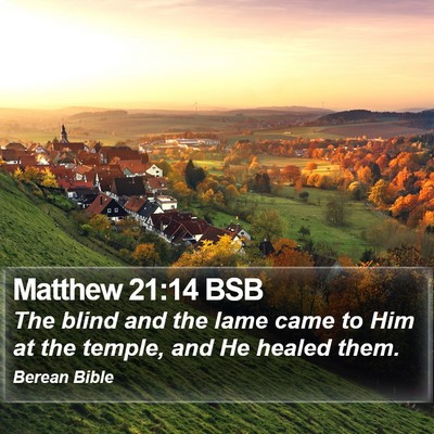 Matthew 21:14 BSB Bible Verse Image