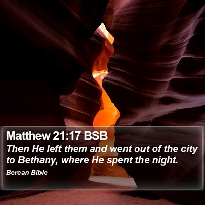 Matthew 21:17 BSB Bible Verse Image