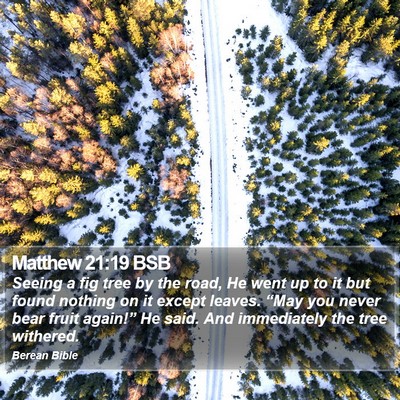 Matthew 21:19 BSB Bible Verse Image