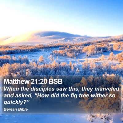 Matthew 21:20 BSB Bible Verse Image