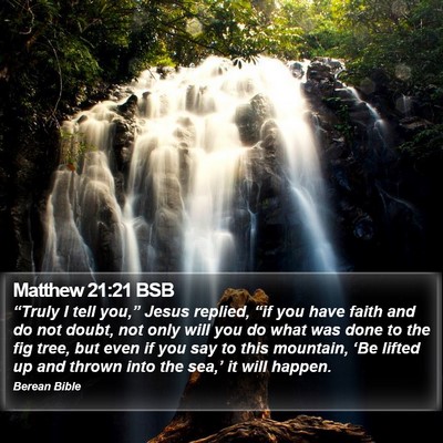 Matthew 21:21 BSB Bible Verse Image