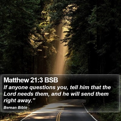 Matthew 21:3 BSB Bible Verse Image