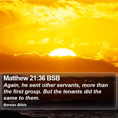 Matthew 21:36 BSB Bible Verse Image