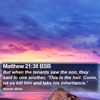 Matthew 21:38 BSB Bible Verse Image