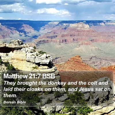 Matthew 21:7 BSB Bible Verse Image