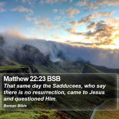 Matthew 22:23 BSB Bible Verse Image