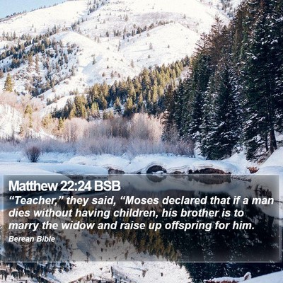 Matthew 22:24 BSB Bible Verse Image