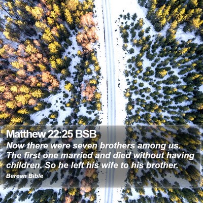 Matthew 22:25 BSB Bible Verse Image