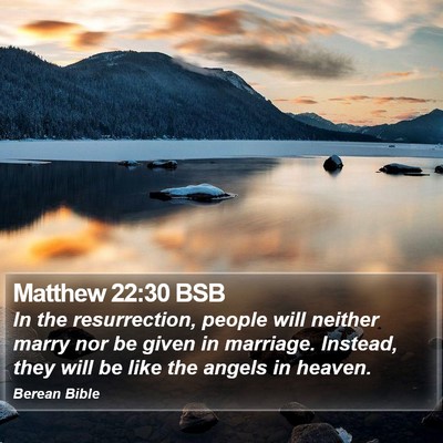 Matthew 22:30 BSB Bible Verse Image