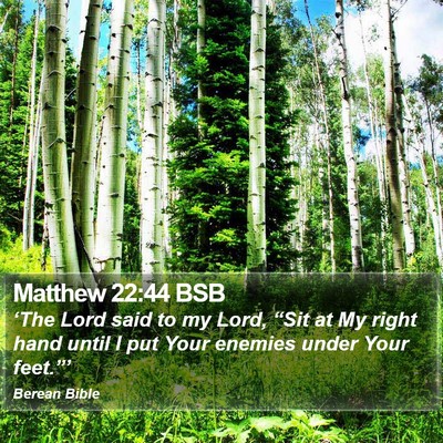 Matthew 22:44 BSB Bible Verse Image