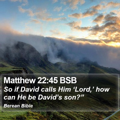 Matthew 22:45 BSB Bible Verse Image