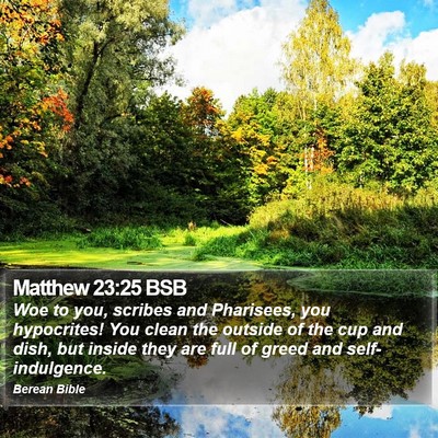 Matthew 23:25 BSB Bible Verse Image