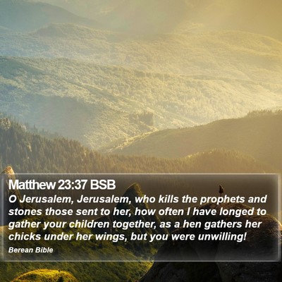 Matthew 23:37 BSB Bible Verse Image