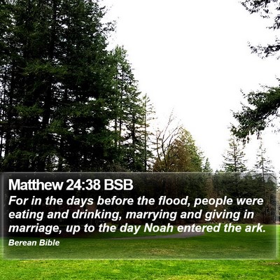 Matthew 24:38 BSB Bible Verse Image