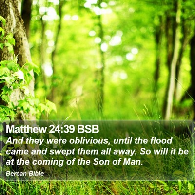 Matthew 24:39 BSB Bible Verse Image