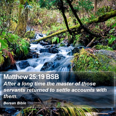 Matthew 25:19 BSB Bible Verse Image