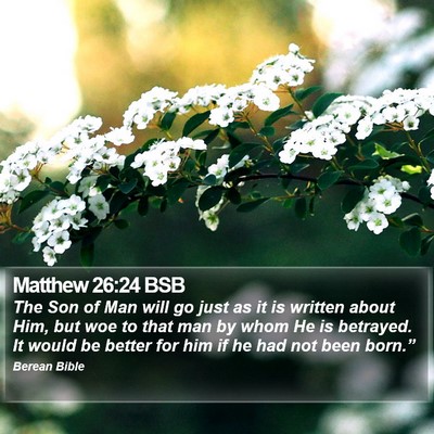 Matthew 26:24 BSB Bible Verse Image