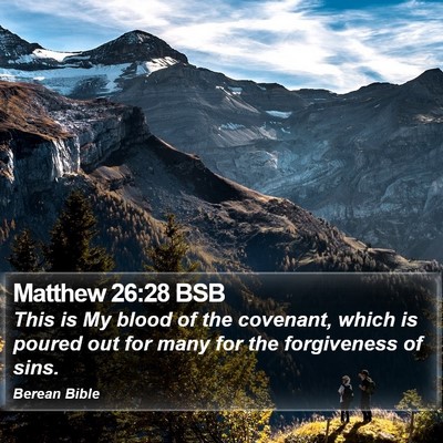 Matthew 26:28 BSB Bible Verse Image