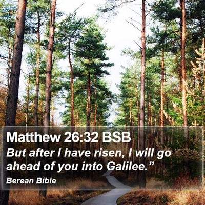 Matthew 26:32 BSB Bible Verse Image