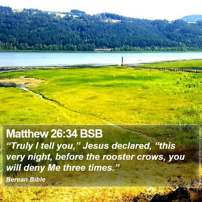 Matthew 26:34 BSB Bible Verse Image